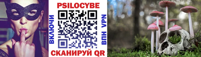 даркнет сайт  Ревда  Галлюциногенные грибы Psilocybe 